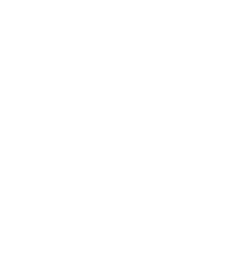 Founders Day Festival logo