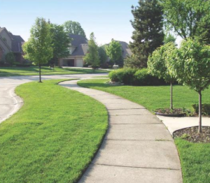 Generica sidewalks