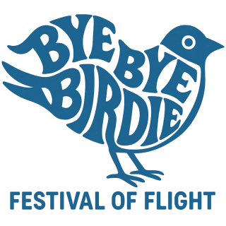 Bye Bye Birdie